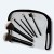 SS-119 6 pc. BRUSH BAG SET
