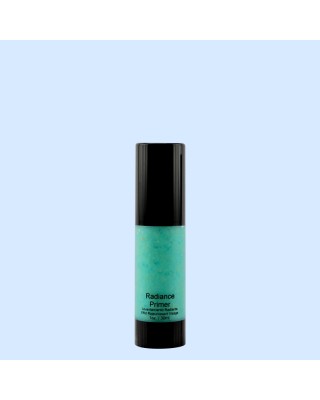 Radiance Primer